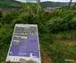 Municipiul Reșița, mai 2026  Foto Daniel Guță ADEVĂRUL (178) jpg