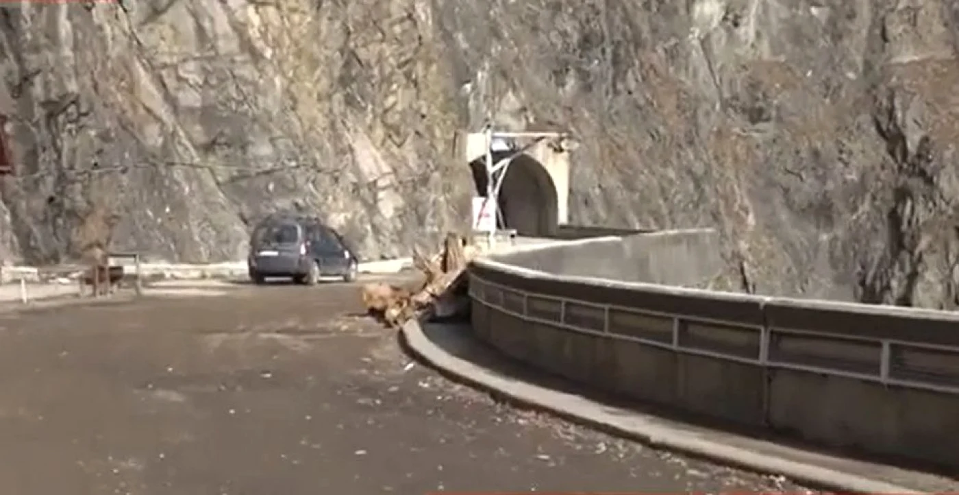 Drumul DJ 704I e într-o stare extrem de proastă. Captură video CJ Argeş
