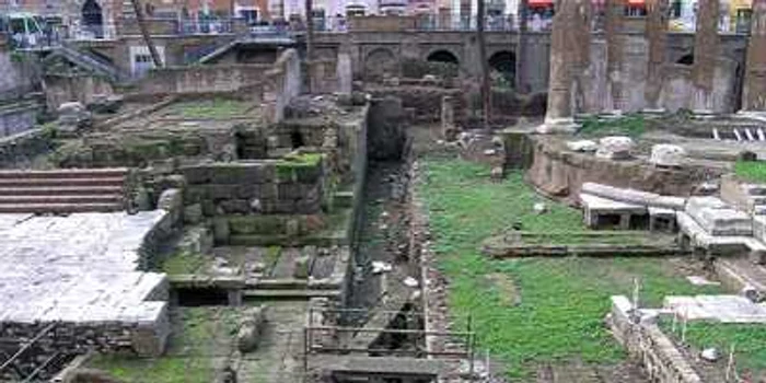 Curia lui Pompei (Roma)