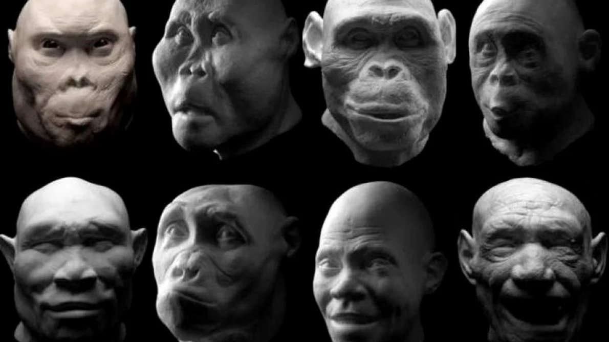 Homo erectus nu era singur  Alte două specii de hominizi au trăit în aceeaşi perioadă jpeg