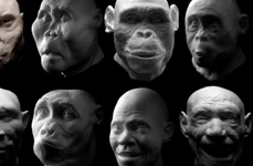 Homo erectus nu era singur Alte două specii de hominizi au trăit în aceeaşi perioadă jpeg