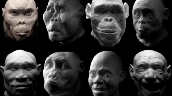 Homo erectus nu era singur Alte două specii de hominizi au trăit în aceeaşi perioadă jpeg