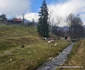 Satul Răscoala din Hunedoara Foto Daniel Guță ADEVĂRUL (6) jpg