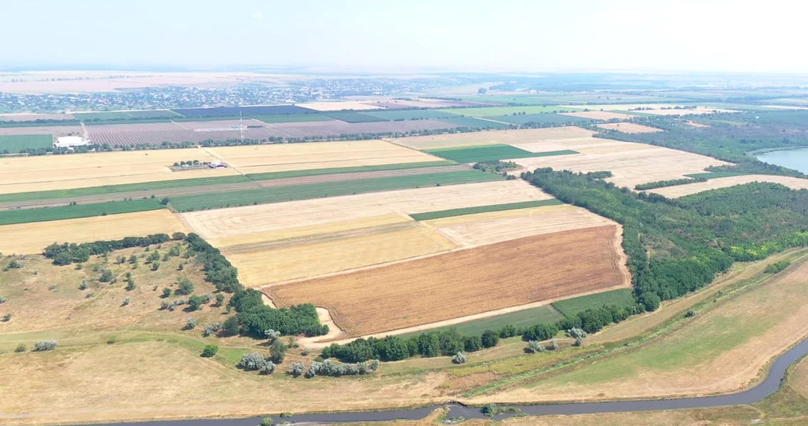 O nouă așezare fortificată, identificată la Gura Bâcului (© Facebook / Agenţia Naţională Arheologică)