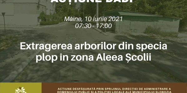 cslobozia actiune de extragere a rborilor foto faceb/municipiul slobozia