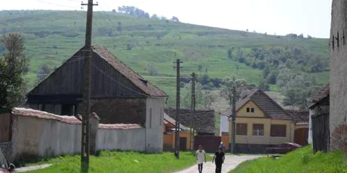 dealu frumos europarlamentare9