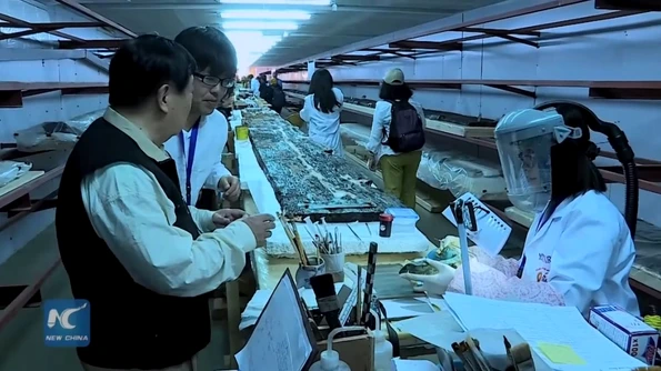 O parte din corabia faraonului Khufu, scoasă la lumină de arheologi / VIDEO jpeg