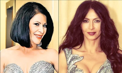 Elena Carstea Mihaela Radulescu jpeg