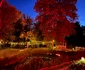 vangelis parc jpg