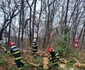 Intervenție la Sibiu din cauza vremii extreme - vântul a smuls copacii din rădăcini Sursă ISU Sibiu