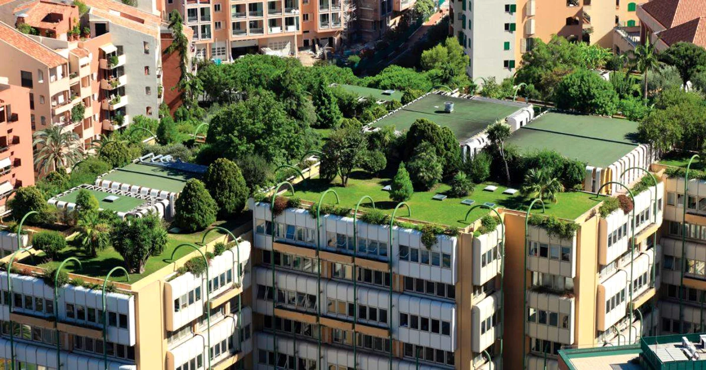 Brașovul vrea acoperișuri verzi FOTO Knauf Insulation