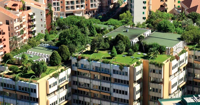Brașovul vrea acoperișuri verzi FOTO Knauf Insulation