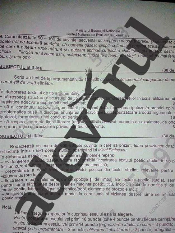 subiecte bac 1