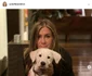 4 36150040 8982829 so cute it hurt jennifer aniston posed with her new dog named lo a 34 1606448789537 jpg jpeg