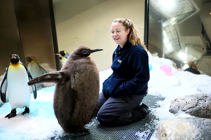 Pesto își adoră îngrijitorii (Foto: Profimedia)