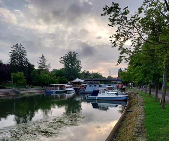 Ambarcațiuni pe Bega FOTO Siky Marko