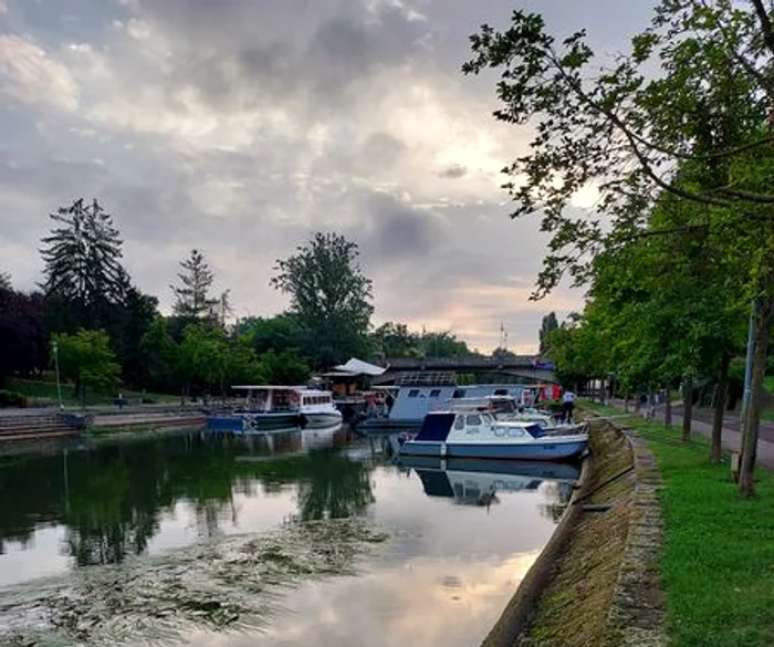 Ambarcațiuni pe Bega FOTO Siky Marko