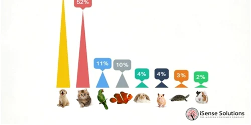 "animale de companie"