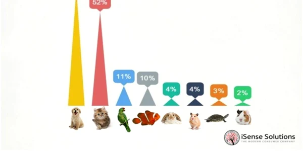 "animale de companie"