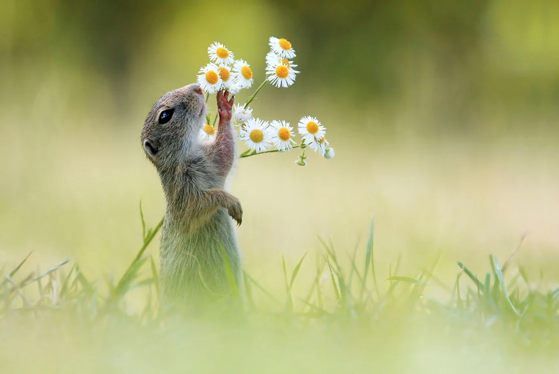 
    Foto: Photoland/Caters  