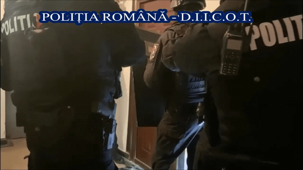 Două culturi de cannabis descoperite în Galați. Doi bărbați au fost arestați 