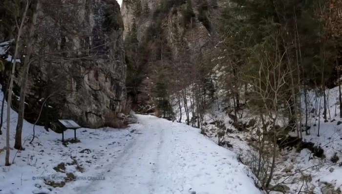 Imagini spectaculoase cu Prăpăstiile Zărneştiului