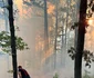 Incendiu de vegetație Foto ISUMehedinti (1) jpg