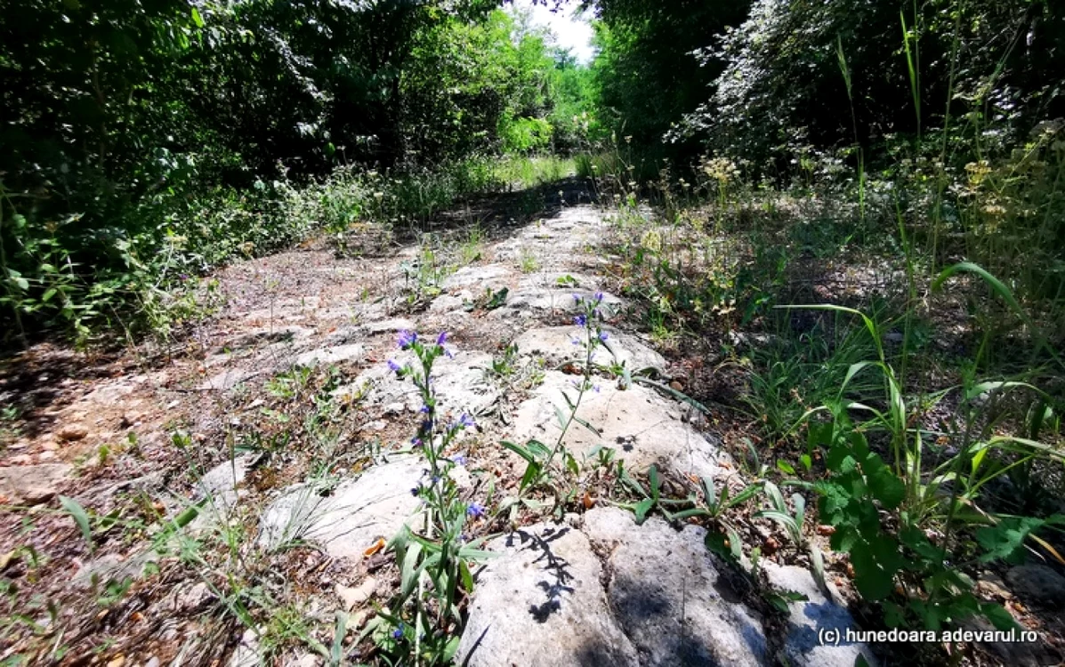 Drumul de la Germisara. Foto: Daniel Guță. ADEVĂRUL