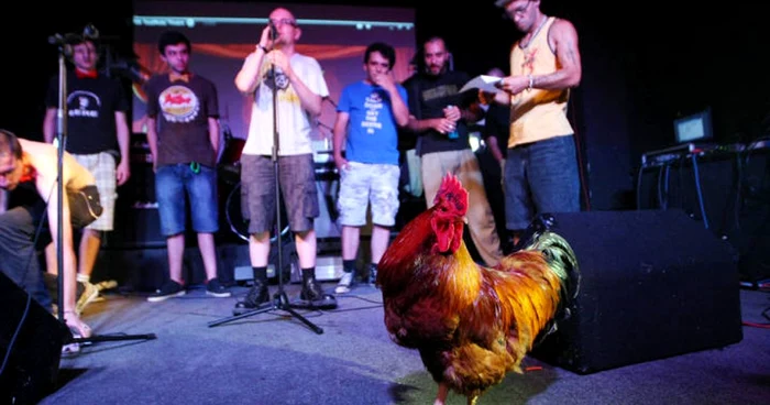 Cocoșul Didu a fost coprezentatorul Festivalului Porcul de Aur