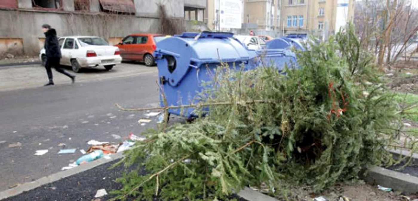 Brazii ar trebui aruncaţi în pubele, nu pe străzi