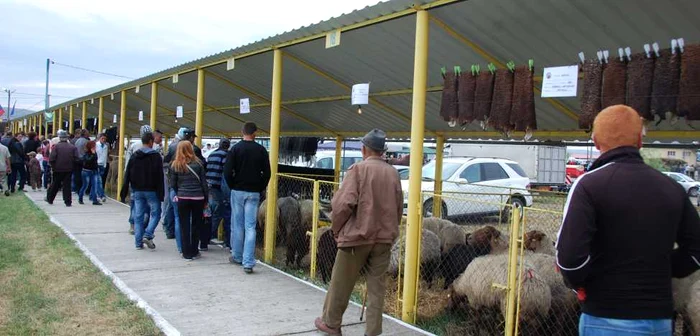Lovitură pentru crescătorii de animale FOTO Adevărul