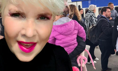 banner silvia dumitrescu png