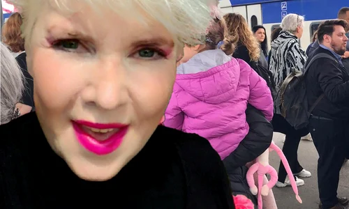 banner silvia dumitrescu png