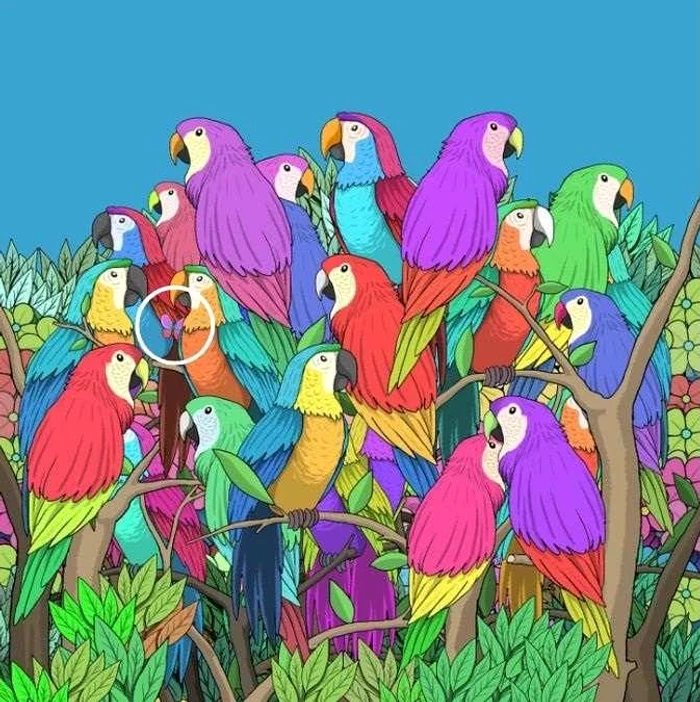 Rezolvarea provocării