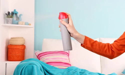 1 poluantii din casa jpg jpeg