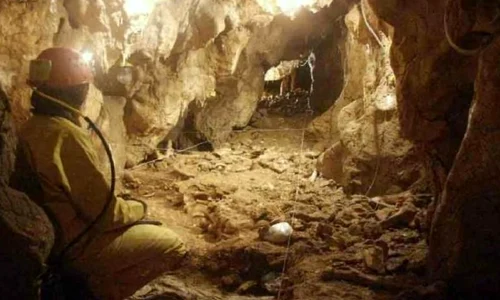 FOTO Cel mai vechi Homo Sapiens din Europa, descoperit în Munţii Banatului jpeg