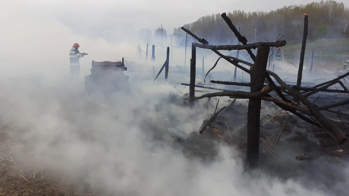 Saivanul a fost mistuit de flăcări FOTO: ISU Tulcea