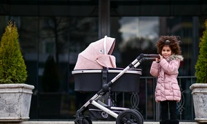 Carucior Set 3 in 1, Boston png