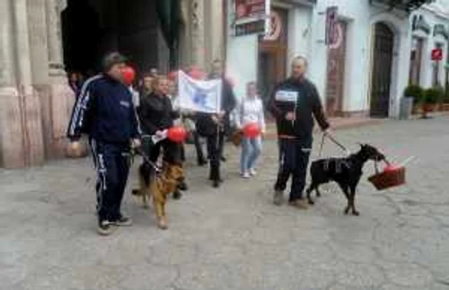 mars satu mare