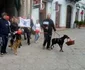 mars satu mare