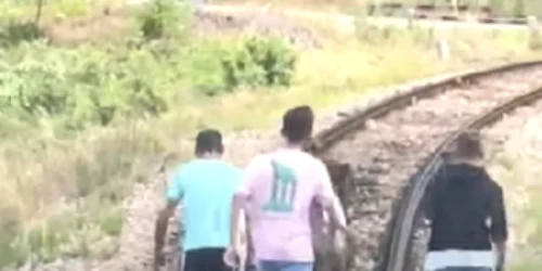 Un măgar şi doi ponei au oprit un tren