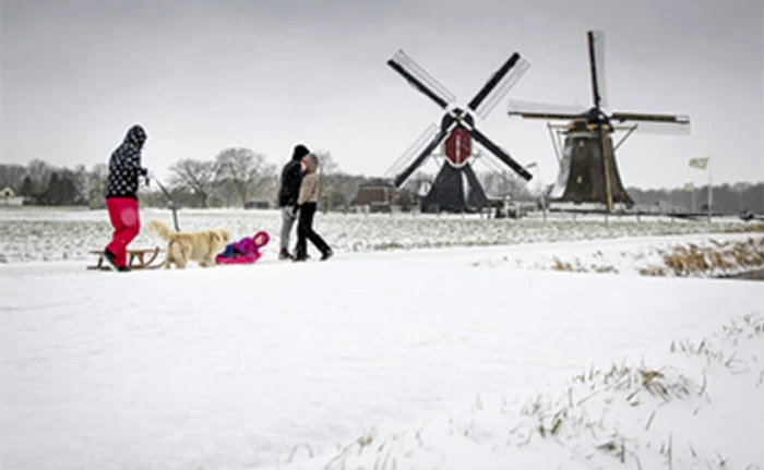 
     Spania. Filomena, cea mai gravă furtună de iarnă înregistrată în ultimele decenii, a provocat pagube de aproape un miliard şi jumătate de euro  