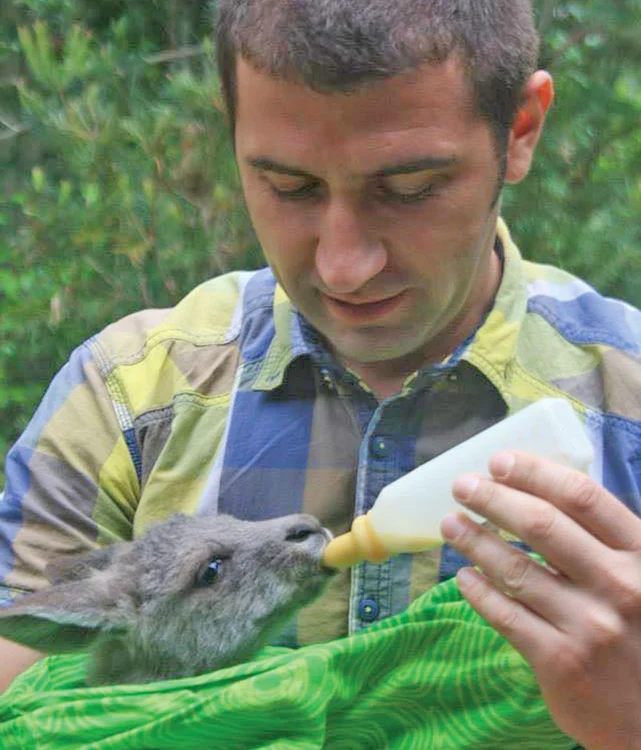 Gabriel Păun, hrănind un pui orfan de cangur