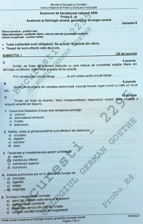 
    Elevii au avut la dispoziție trei ore pentru a rezolva subiectele la AnatomieSursa foto: Inquam Photos / Octav Ganea  