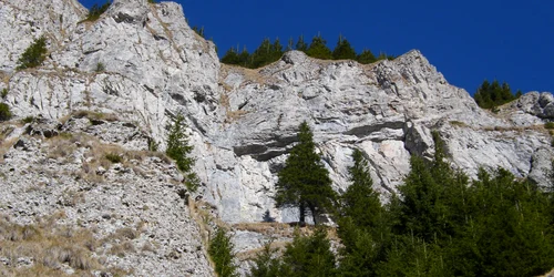 ceahlaudetunatele ceahlaupark ro jpg