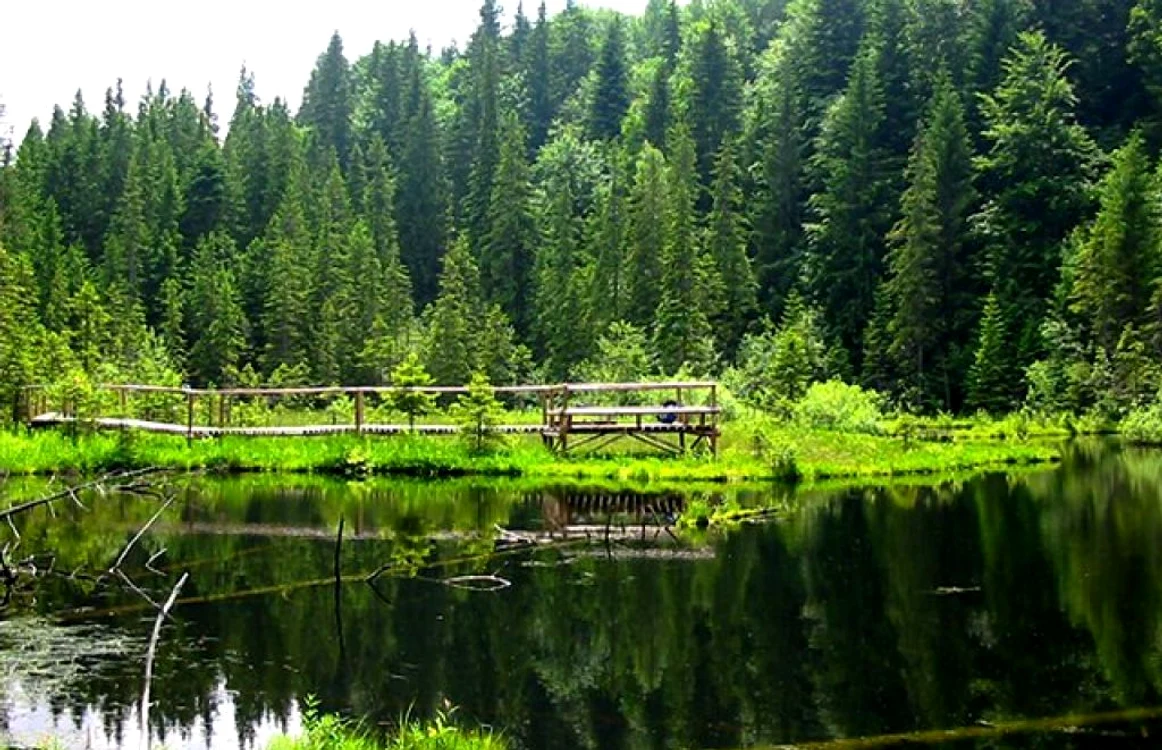 lacul negru 1