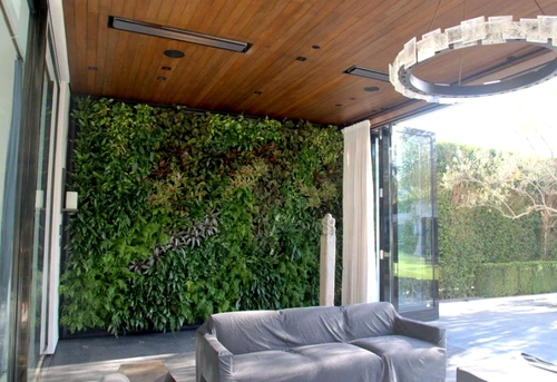 1 67603 original jpg jpeg