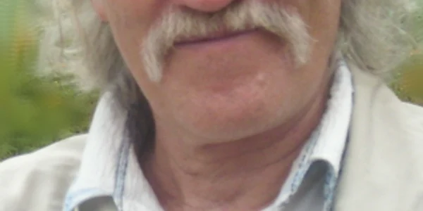 Victor Teişanu