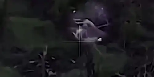 executie gif