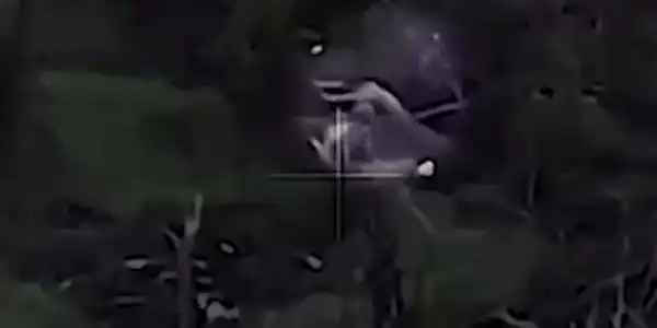 executie gif